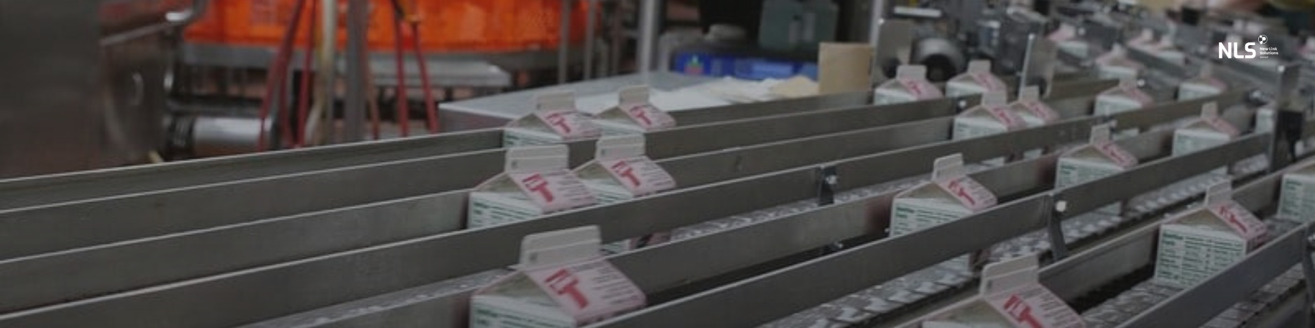 O Instituto del Queso escolhe a Infor como parceira científico-tecnológica para impulsionar a digitalização do setor do leite e do queijo